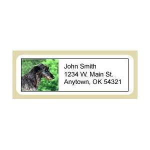  Scottish Deerhound Address Labels