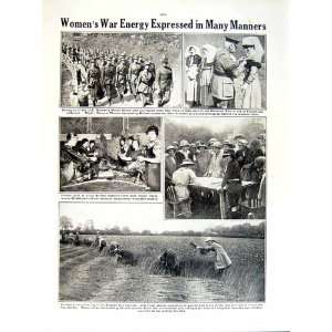    1919 WORLD WAR WOMEN WORKERS RAILROAD FLAX HARVEST