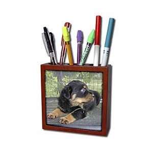   rotties, rottie owner, rottweiler puppy   Tile Pen Holders 5 inch tile