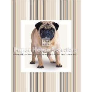  Pug Greeted Magnet Card Arts, Crafts & Sewing