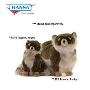  HANSA   Racoon, Rocky (3822) Toys & Games