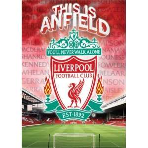    Liverpool 3 Dimensional Poster Print, 19x27