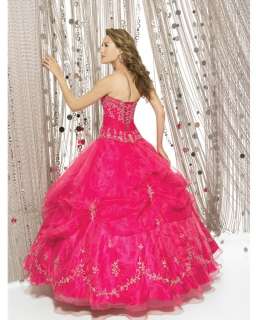 2011 New Fashion Prom Gowns/Quinceanera/Wedding Dress  