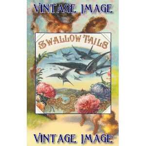   5cm) Acrylic Keyring Bird Swallow Tails Vintage Image