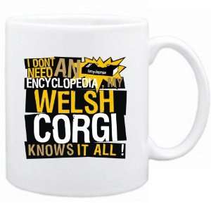  New   My Welsh Corgi Knows It All   Mug Dog