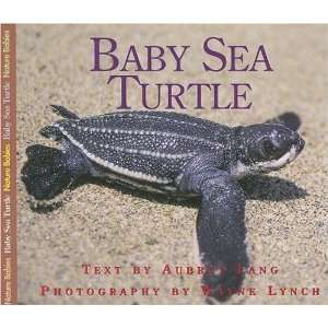    Baby Sea Turtle (Nature Babies) [Paperback] Aubrey Lang Books