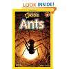  Insect Lore Ant Hill Toys & Games
