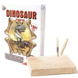  T Rex Textbook And Excavation Kit Beauty
