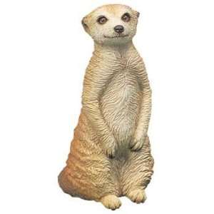  Meerkat   Small Size 