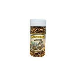  Insectivore Treat   Mealworms .95 Oz