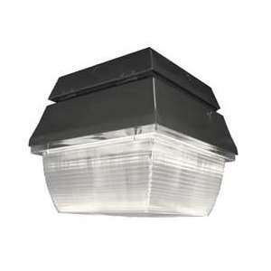  LumaPro 4RNJ9 Ceiling Light, Induction, 100W, 120 277V 