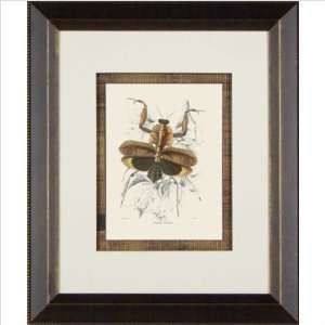  Phoenix Galleries HP738 Leaf Mantis Framed Print
