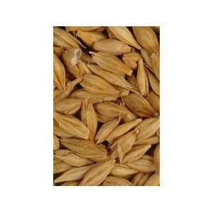  American Unmalted Roasted Barley 1 Lb