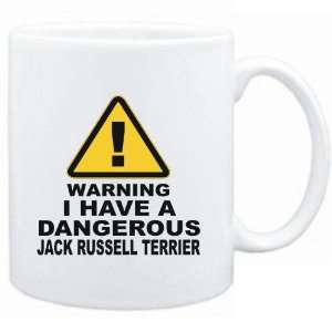   DANGEROUS Jack Russell Terrier  Dogs 
