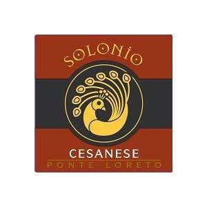  Solonio Ponte Loreto Cesanese 2010 750ML Grocery 