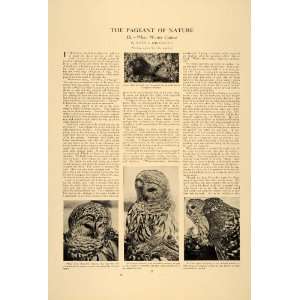 1907 Article Barred Owl Jumping Mouse Flying Squirrel 