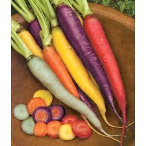  Carrot, Kaleidoscope Mix 1 Pkt. (1000 seeds) Patio, Lawn 