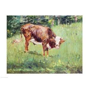  Young Bull in a Meadow, 1881   Poster by Edouard Manet 