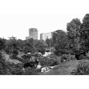  Paper poster printed on 12 x 18 stock. Pond in Central 