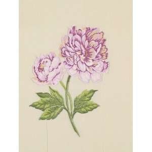  Chrysanthemum Lily Pink by Beacon Hill Fabric