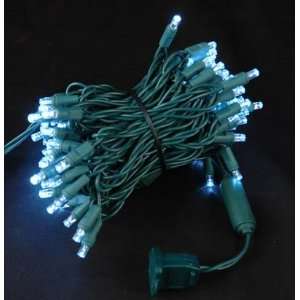 Novelty Lights, Inc. CGWA100 4 G PW Wide Angle (5MM) LED Christmas 