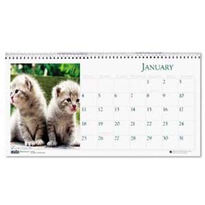   with Photos CALENDAR,DSKTP TENT,KITTN (Pack of10)