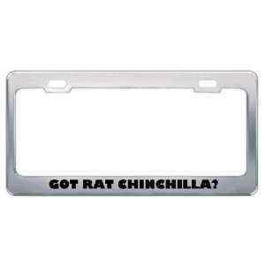  Got Rat Chinchilla? Animals Pets Metal License Plate Frame 