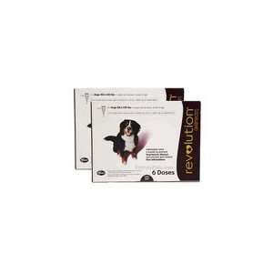  Revolution for dogs 85.1 to 130 lbs (12 Month) Pet 