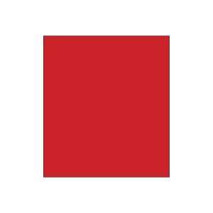  Blank 4 x 4 1/2 Rectangle Paper Label, Fluorescent Red 