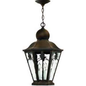   Dark Sky 1 Light Outdoor Hanging Lantern in Sienna with Clear Water