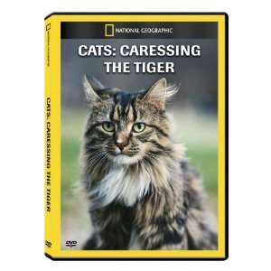   Geographic Cats Caressing the Tiger DVD Exclusive