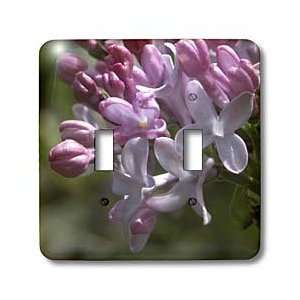 Beverly Turner Photography   Lilac Flowers   Light Switch 