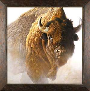 Chief Robert Bateman Buffalo Bison Framed Print Pictures 30x30  