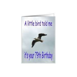  Happy 79th Birthday Flying Seagull bird Card Toys & Games