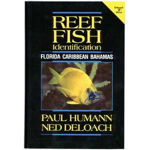  Reef Fish Identification Florida, Caribbean, Bahamas (3rd 