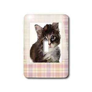 Susan Brown Designs Animal Themes   Furry Baby   Light Switch Covers 