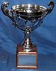 13.5any sport ANY EVENT slvr metal cup trophy free engraved header 