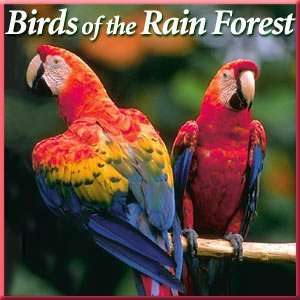  New Naturescapes Music Birds Of The Rain CD Wake Up With 