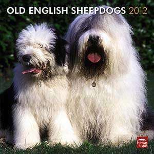  2012 Old English Sheepdogs Calendar