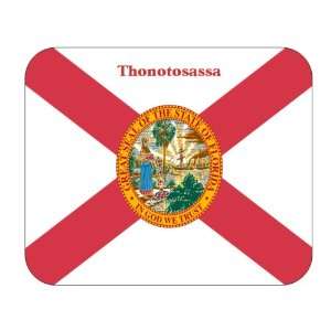  US State Flag   Thonotosassa, Florida (FL) Mouse Pad 
