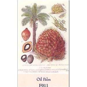  Oil Palm Poster Print