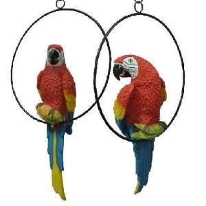  Natural Looking Lover Parrots