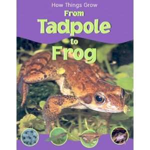   Tadpole to Frog (How Things Grow) (9781930643857) Sally Morgan Books