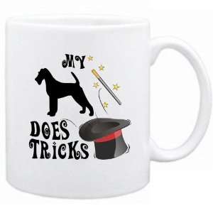    New  My Irish Terrier Does Tricks   Mug Dog