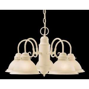   White Traditional Traditional / Classic 5 Light Down Lighting Cha