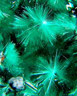 75 Electric Green BROCHANTITE Needle Crystals Congo  