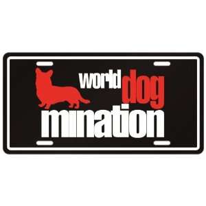  New  Cardigan Welsh Corgi  World Dog   Mination 