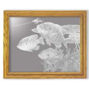  Etched Mirror Sunfish Art in Solid Oak Rectangle Frame 
