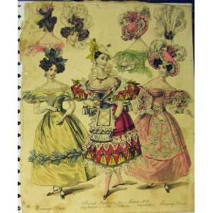  1831 Womens Fashion Evening Dress Neopolitan Costumes 