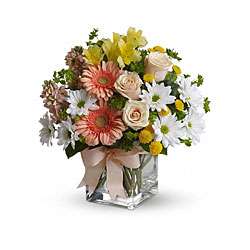 Teleflora Walk in the Country Hand arranged Flower Bouquet   